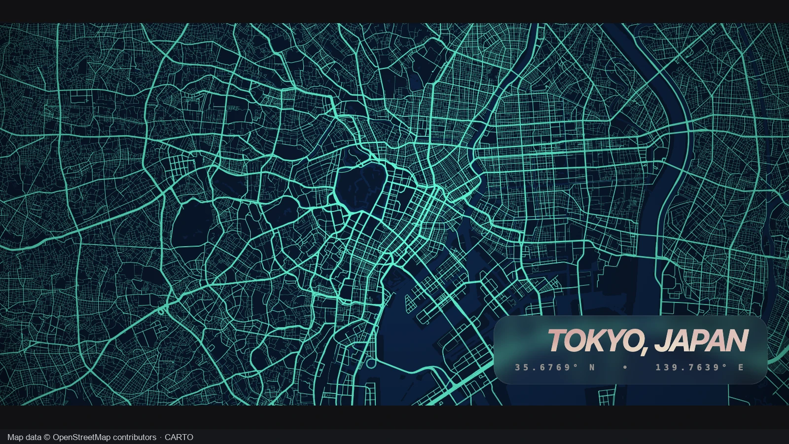 Tokyo road network with dense local streets and major corridors